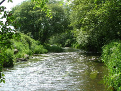 The River Otter